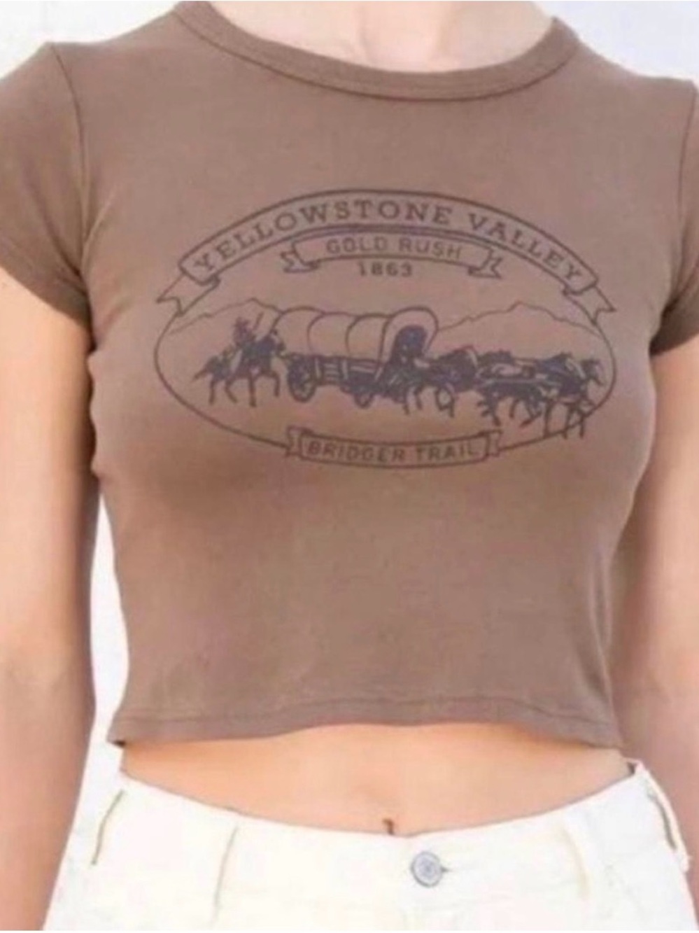 Brandy Melville Brown Yellowstone Baby Tee